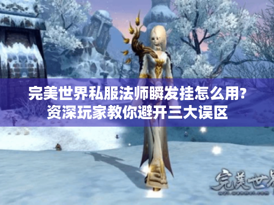 完美世界私服法师瞬发挂怎么用?资深玩家教你避开三大误区 完美世界私服法师瞬发挂怎么用?资深玩家教你避开三大误区