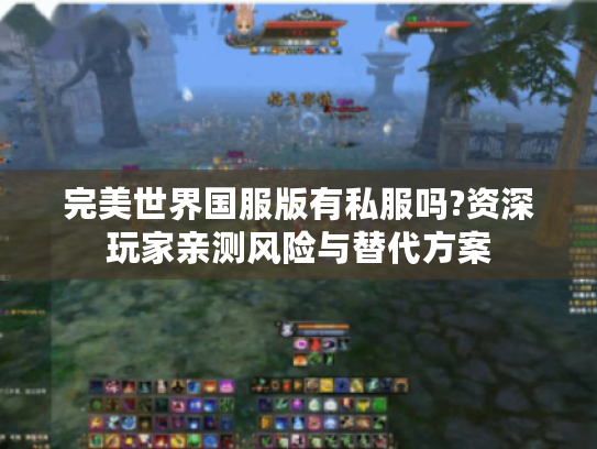 完美世界国服版有私服吗?资深玩家亲测风险与替代方案 完美世界国服版有私服吗?资深玩家亲测风险与替代方案