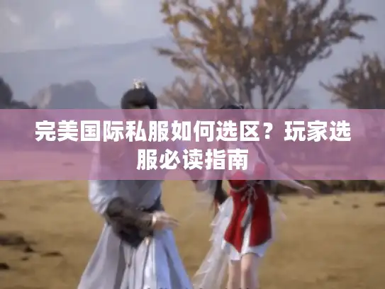 完美国际私服如何选区？玩家选服必读指南