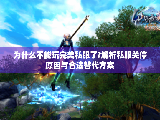 为什么不能玩完美私服了?解析私服关停原因与合法替代方案