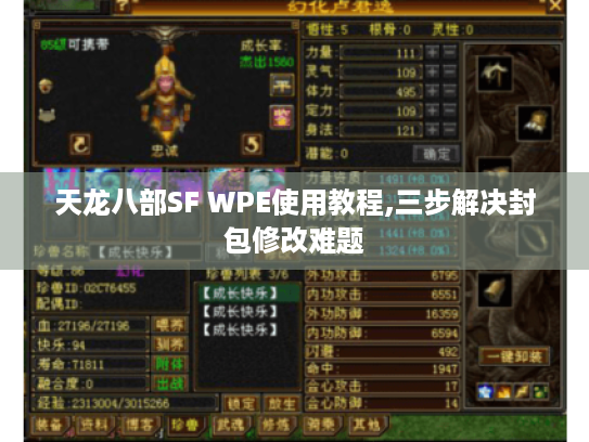 天龙八部SF WPE使用教程,三步解决封包修改难题