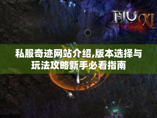 私服奇迹网站介绍,版本选择与玩法攻略新手必看指南