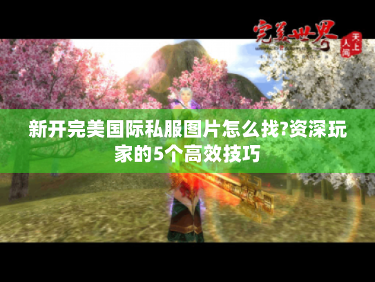 新开完美国际私服图片怎么找?资深玩家的5个高效技巧 新开完美国际私服图片怎么找?资深玩家的5个高效技巧