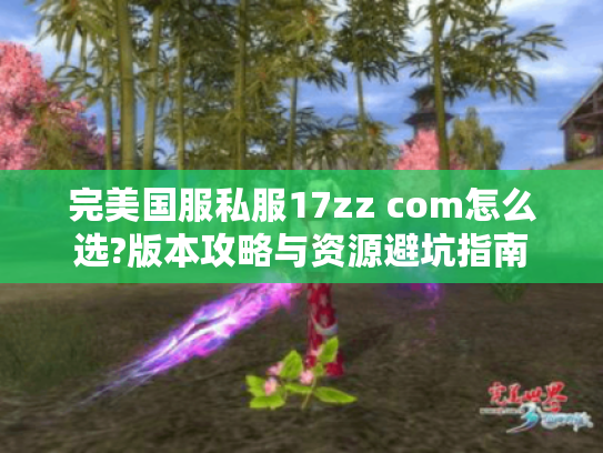完美国服私服17zz com怎么选?版本攻略与资源避坑指南