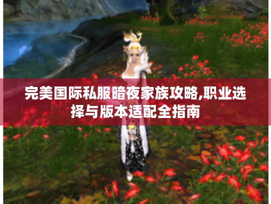 完美国际私服暗夜家族攻略,职业选择与版本适配全指南 完美国际私服暗夜家族攻略,职业选择与版本适配全指南