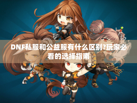 DNF私服和公益服有什么区别?玩家必看的选择指南 DNF私服和公益服有什么区别?玩家必看的选择指南