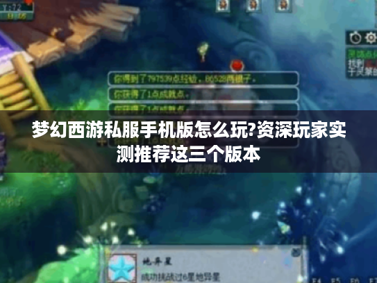 梦幻西游私服手机版怎么玩?资深玩家实测推荐这三个版本 梦幻西游私服手机版怎么玩?资深玩家实测推荐这三个版本
