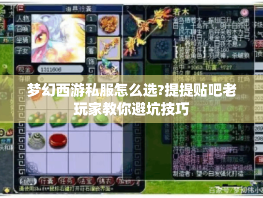梦幻西游私服怎么选?提提贴吧老玩家教你避坑技巧 梦幻西游私服怎么选?提提贴吧老玩家教你避坑技巧