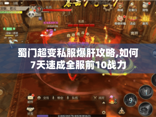 蜀门超变私服爆肝攻略,如何7天速成全服前10战力 蜀门超变私服爆肝攻略,如何7天速成全服前10战力