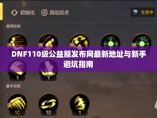 DNF110级公益服发布网最新地址与新手避坑指南