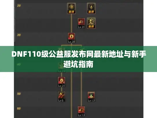 DNF110级公益服发布网最新地址与新手避坑指南