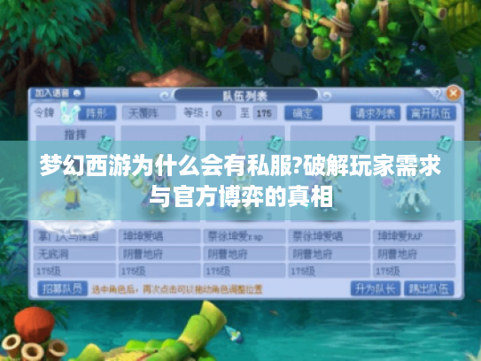梦幻西游为什么会有私服?破解玩家需求与官方博弈的真相
