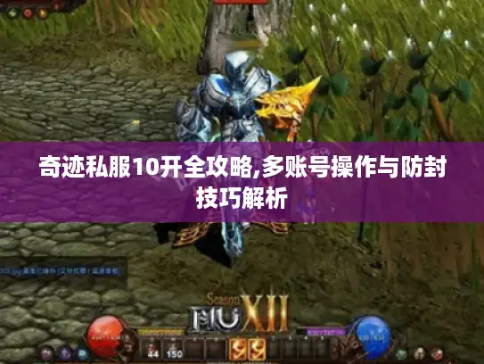 奇迹私服10开全攻略,多账号操作与防封技巧解析 奇迹私服10开全攻略,多账号操作与防封技巧解析