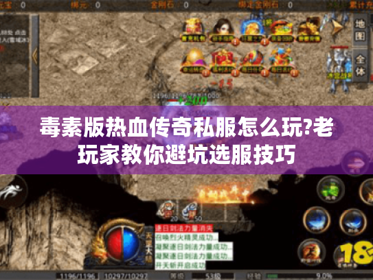 毒素版热血传奇私服怎么玩?老玩家教你避坑选服技巧 毒素版热血传奇私服怎么玩?老玩家教你避坑选服技巧