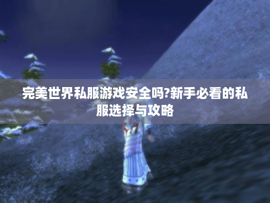 完美世界私服游戏安全吗?新手必看的私服选择与攻略