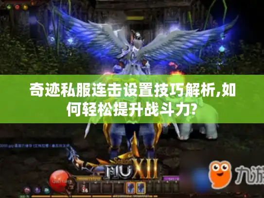 奇迹私服连击设置技巧解析,如何轻松提升战斗力?