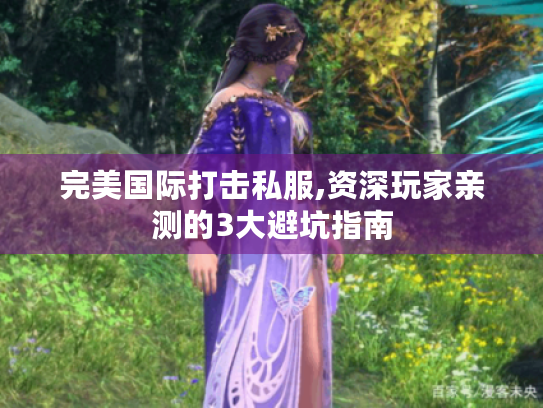 完美国际打击私服,资深玩家亲测的3大避坑指南