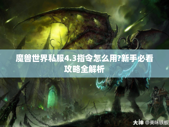 魔兽世界私服4.3指令怎么用?新手必看攻略全解析