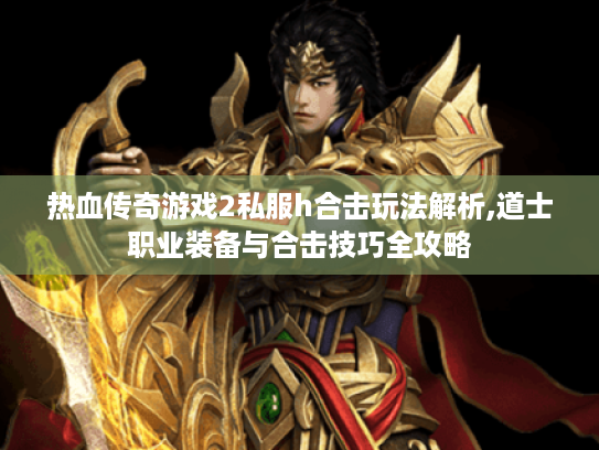 热血传奇游戏2私服h合击玩法解析,道士职业装备与合击技巧全攻略 热血传奇游戏2私服h合击玩法解析,道士职业装备与合击技巧全攻略