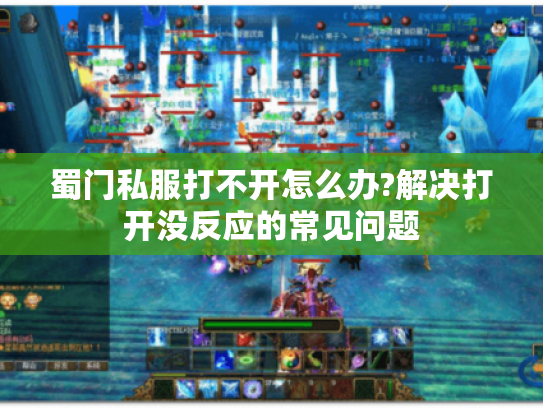 蜀门私服打不开怎么办?解决打开没反应的常见问题