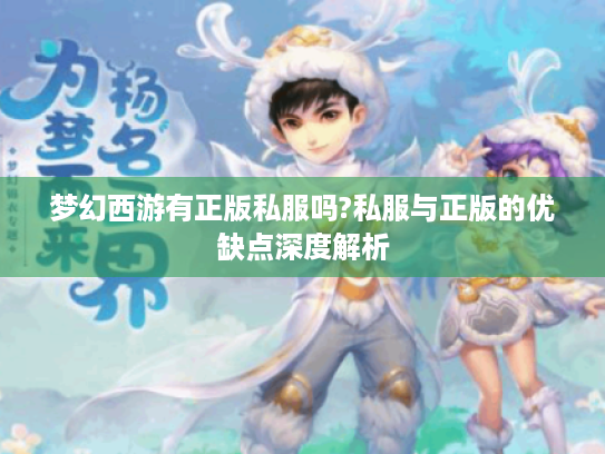 梦幻西游有正版私服吗?私服与正版的优缺点深度解析 梦幻西游有正版私服吗?私服与正版的优缺点深度解析