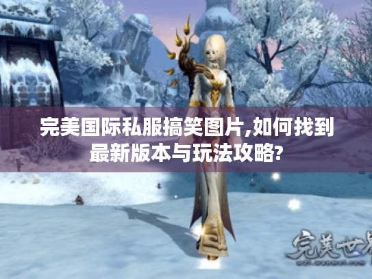完美国际私服搞笑图片,如何找到最新版本与玩法攻略?
