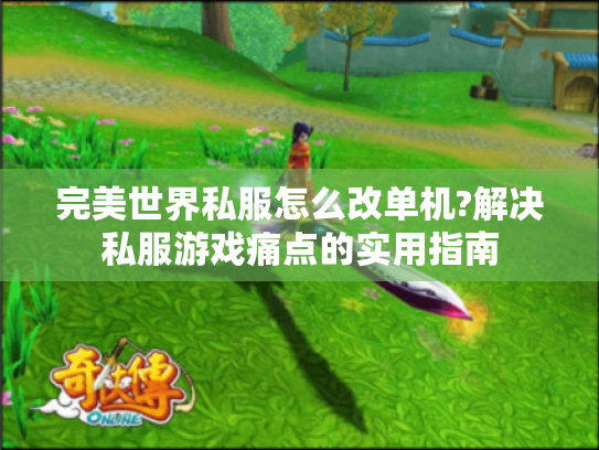 完美世界私服怎么改单机?解决私服游戏痛点的实用指南 完美世界私服怎么改单机?解决私服游戏痛点的实用指南