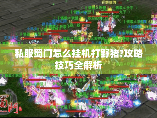 私服蜀门怎么挂机打野猪?攻略技巧全解析