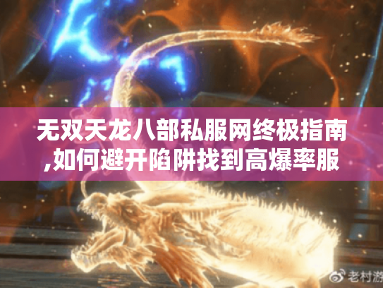 无双天龙八部私服网终极指南,如何避开陷阱找到高爆率服务器 无双天龙八部私服网终极指南,如何避开陷阱找到高爆率服务器