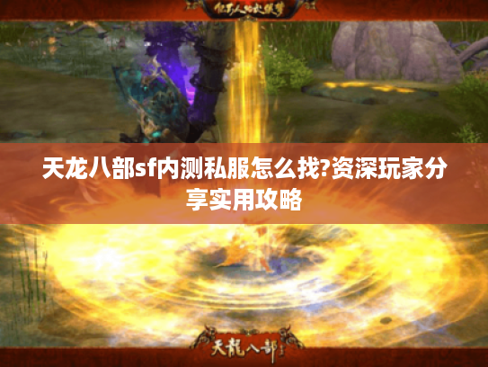 天龙八部sf内测私服怎么找?资深玩家分享实用攻略