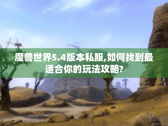 魔兽世界5.4版本私服,如何找到最适合你的玩法攻略?