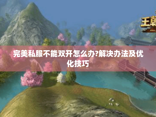 完美私服不能双开怎么办?解决办法及优化技巧 完美私服不能双开怎么办?解决办法及优化技巧