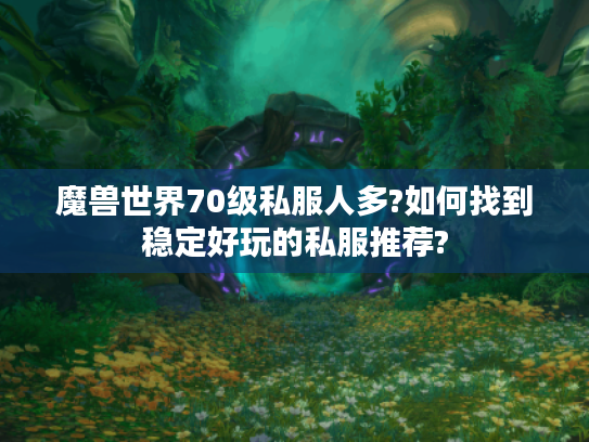 魔兽世界70级私服人多?如何找到稳定好玩的私服推荐?