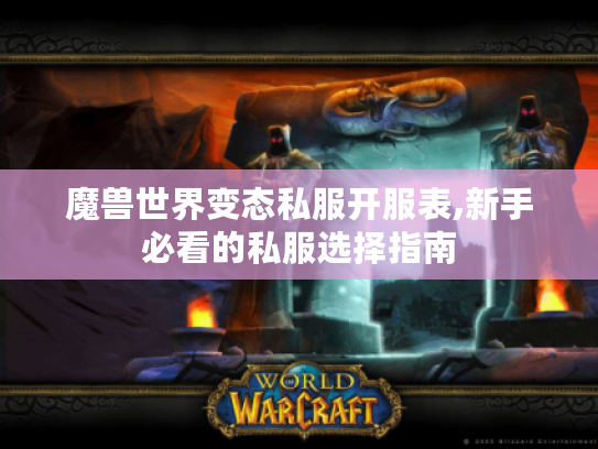 魔兽世界变态私服开服表,新手必看的私服选择指南