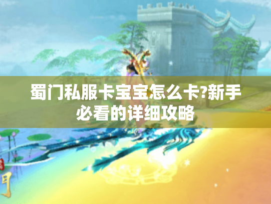 蜀门私服卡宝宝怎么卡?新手必看的详细攻略 蜀门私服卡宝宝怎么卡?新手必看的详细攻略