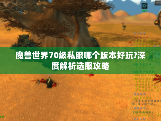 魔兽世界70级私服哪个版本好玩?深度解析选服攻略