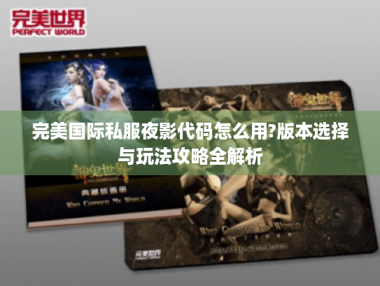 完美国际私服夜影代码怎么用?版本选择与玩法攻略全解析 完美国际私服夜影代码怎么用?版本选择与玩法攻略全解析