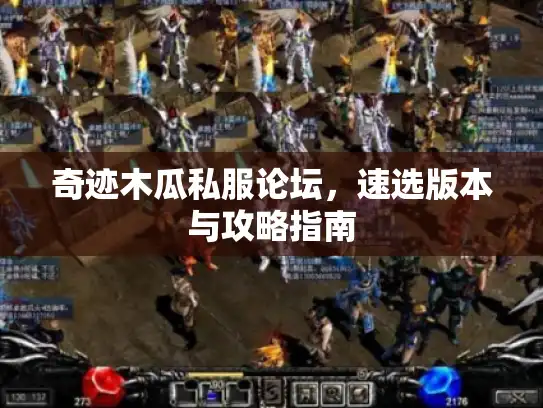 奇迹木瓜私服论坛，速选版本与攻略指南