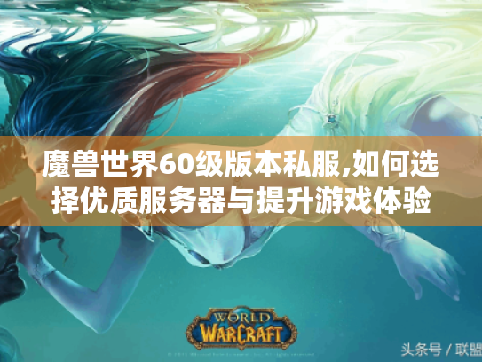 魔兽世界60级版本私服,如何选择优质服务器与提升游戏体验 魔兽世界60级版本私服,如何选择优质服务器与提升游戏体验