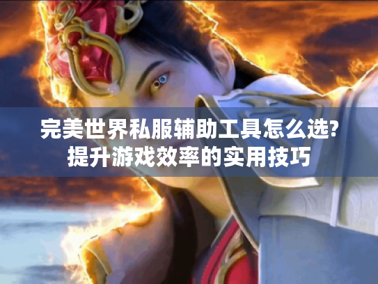 完美世界私服辅助工具怎么选?提升游戏效率的实用技巧 完美世界私服辅助工具怎么选?提升游戏效率的实用技巧