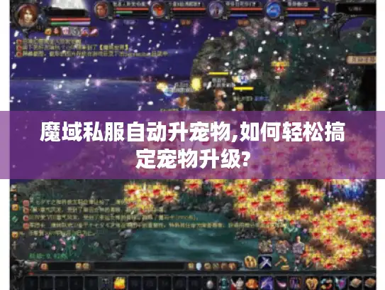 魔域私服自动升宠物,如何轻松搞定宠物升级?