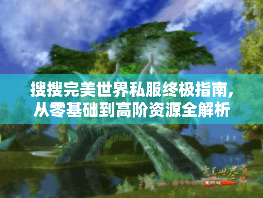 搜搜完美世界私服终极指南,从零基础到高阶资源全解析 搜搜完美世界私服终极指南,从零基础到高阶资源全解析