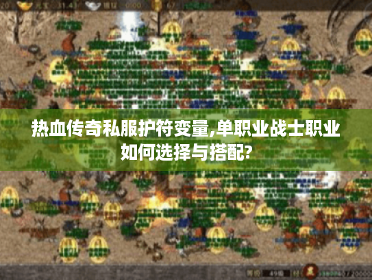 热血传奇私服护符变量,单职业战士职业如何选择与搭配? 热血传奇私服护符变量,单职业战士职业如何选择与搭配?