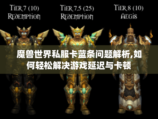 魔兽世界私服卡蓝条问题解析,如何轻松解决游戏延迟与卡顿