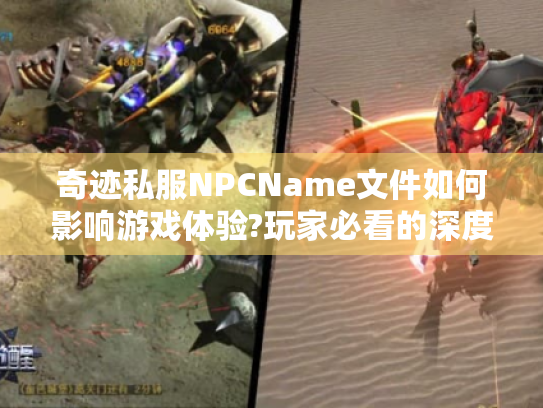 奇迹私服NPCName文件如何影响游戏体验?玩家必看的深度解析 奇迹私服NPCName文件如何影响游戏体验?玩家必看的深度解析