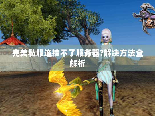 完美私服连接不了服务器?解决方法全解析 完美私服连接不了服务器?解决方法全解析