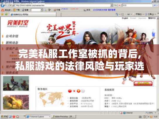 完美私服工作室被抓的背后,私服游戏的法律风险与玩家选择 完美私服工作室被抓的背后,私服游戏的法律风险与玩家选择