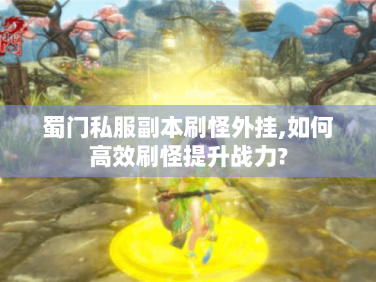 蜀门私服副本刷怪外挂,如何高效刷怪提升战力? 蜀门私服副本刷怪外挂,如何高效刷怪提升战力?