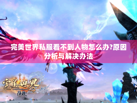 完美世界私服看不到人物怎么办?原因分析与解决办法