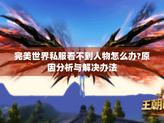 完美世界私服看不到人物怎么办?原因分析与解决办法
